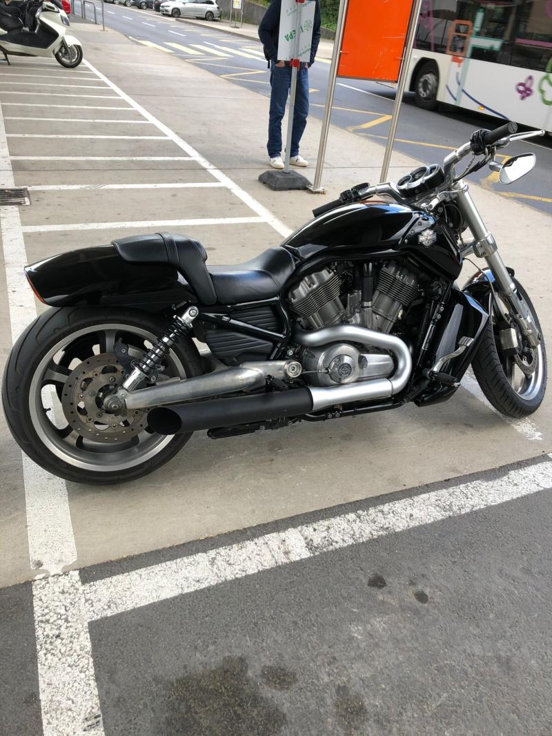 Harley-Davidson V-rod muscle 2015