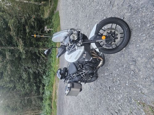 Triumph Tiger