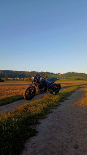 Benelli Leoncino